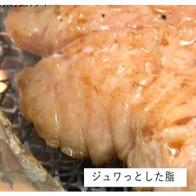 本造ります中塩４切 き-468 トラウトサーモンを新潟で干し上げた伝統製法 鮭  冷凍食品 冷凍 魚 冷凍保存  高級 鮭 高級サーモン