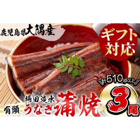 ふるさと納税 楠田の極うなぎ　蒲焼き170ｇ以上×3尾(計510ｇ以上） b2-018 鹿児島県志布志市