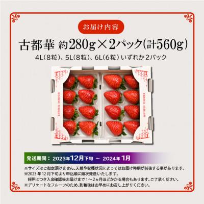 ふるさと納税 生駒市 高級いちご「古都華」4Lサイズ以上2パック　奈良県生駒市産