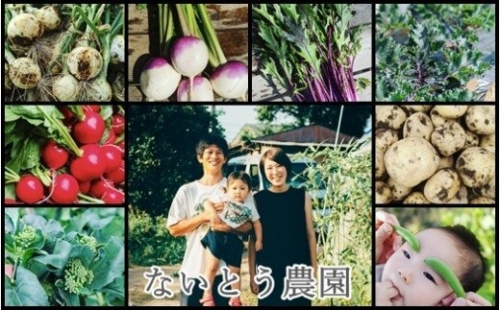 有機農家の採れたて季節野菜のセット