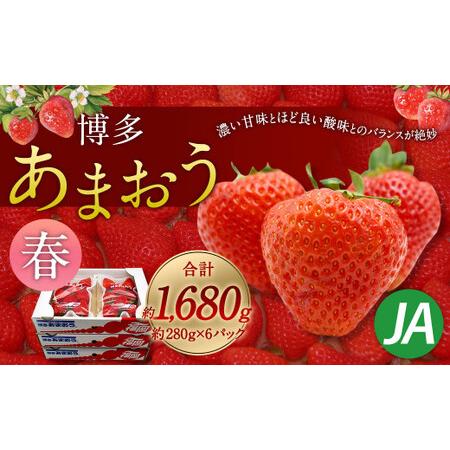 ふるさと納税 博多あまおう 6パック（春） 福岡県太宰府市