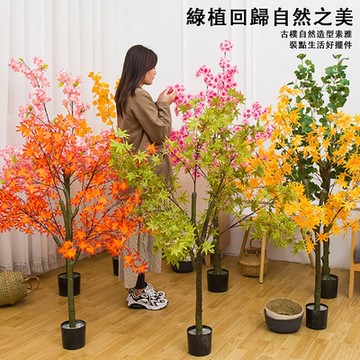 仿真盆栽 綠色植物裝飾  室內假綠植 景觀樹 美觀自然 裝飾百搭 攝影造景裝飾 綠植 仿真綠植 辦公室盤栽 植物 綠化