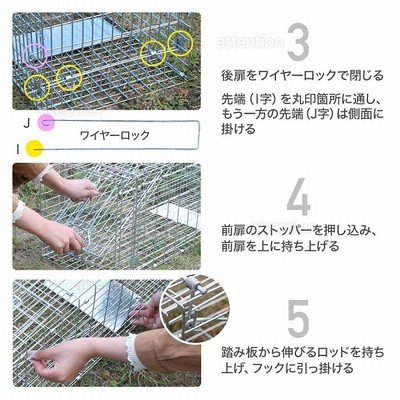 今ならほぼ即納！ iimono117 捕獲器 踏み板式 (Lサイズ) アニマル