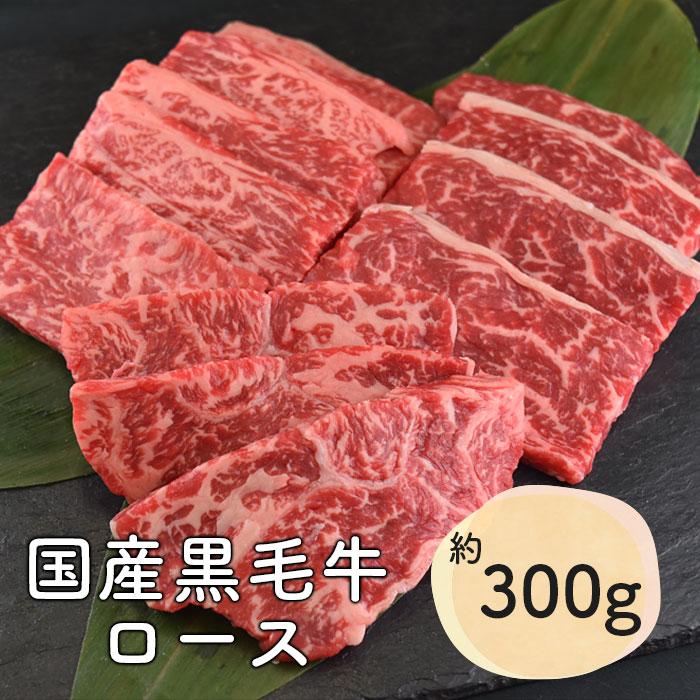 牛肉 国産黒牛 おうち 焼き肉 焼肉  豚肉 メガ盛り タレ付きセット 4〜5人前 1500g