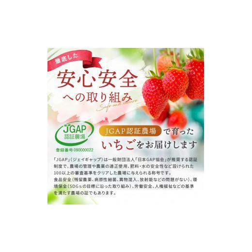 ふるさと納税 栃木県 真岡市 定期便 3回 いちごっぱなし 旬のいちご とちあいか  真岡市 栃木県 いちご日本一 農林水産大臣賞 最多獲得 苺 人気…