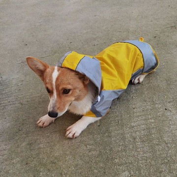 篷雨衣 寵物外出雨衣 防水雨衣 連帽雨衣 寵物輕便雨衣⭐全場免運⭐狗狗斗篷雨衣雙層防雨透氣雨披小狗博美柯基金毛寵物戶外出
