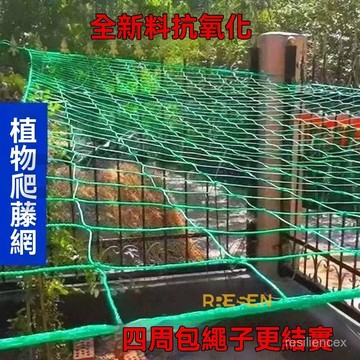 90股爬藤網養殖網籃球網樓梯陽臺露臺防護安全網 園藝網 絲瓜網 植物爬藤網 苦瓜網 攀藤網 植物攀爬網 蔞攀爬網 防鳥網