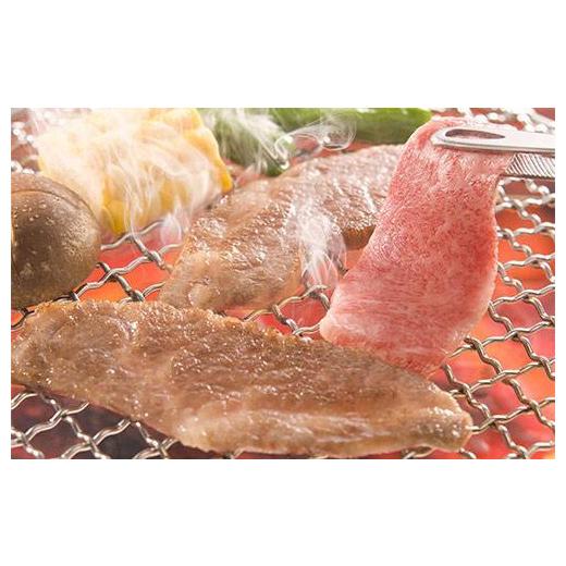 ふるさと納税 高知県 高知市 土佐和牛A5特選カルビ焼肉500g　牛肉　和牛A5ランク