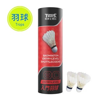 成功 SUCCESS 45080 入門羽球  1筒12入【APP滿額下單10%點數(單一帳號最高5000點)】1/31止