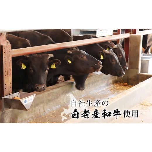 ふるさと納税 北海道 白老町 白老牛 もつ スンドゥブ 4パック 韓国料理