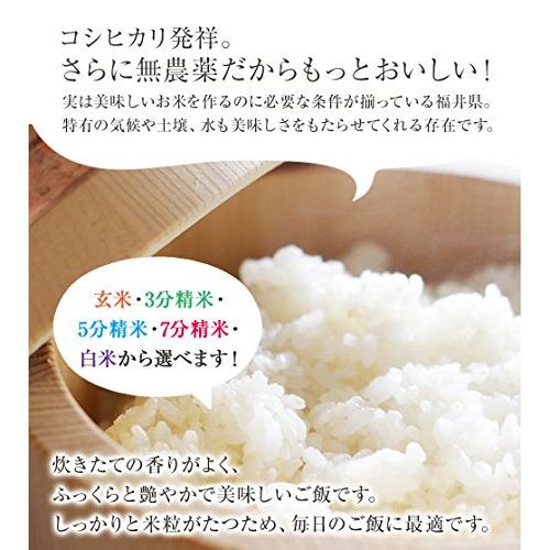 白米 無農薬 コシヒカリ 「特選」 5kg 令和5年福井県産 真空パック 特別栽培米 無農薬 無化学肥料栽培