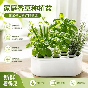 新款✈️臺灣有貨✈️水培盆栽容器 水培蔬菜種植盒 免土蔥花栽培盆 蔥花水培套裝免土免技巧快速收割陽臺窗臺家庭種植盒