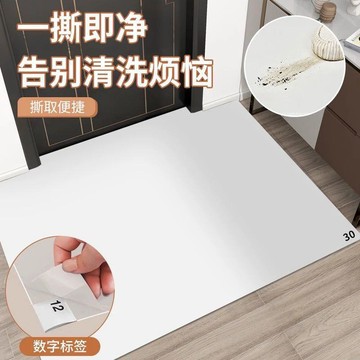 可撕式家用家居進門免洗換拖鞋除塵地墊臥室房間客廳大門粘塵墊 玄關地墊 地墊玄關 大門地墊 廁所地墊 地墊 浴室 客廳地墊