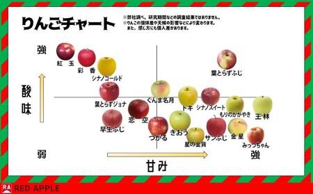 蜜入り＆13度糖度保証 特選 葉とらずふじ 約2.5kg