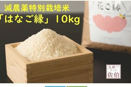 ＜新米・令和5年産＞減農薬特別栽培米 はなご縁 (計10kg・5kg×2袋) 米 ひのひかり ヒノヒカリ 精米 白米 大分県産 大分県 佐伯市