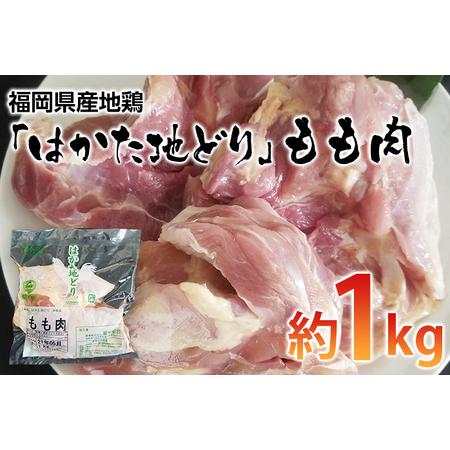 ふるさと納税 福岡県産地鶏「はかた地どり」もも肉(約1kg) 福岡県田川市