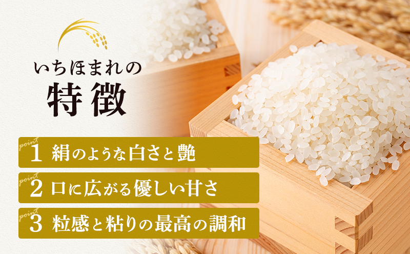 無洗米 令和５年産 いちほまれ 10kg 福井 高級ブランド米 お米 おこめ 米 コメ こめ 白米 精米 ご飯 ごはん 福井県