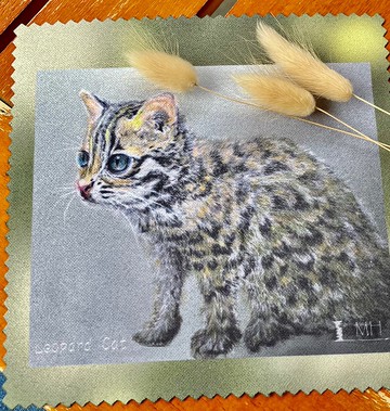 手繪 台灣石虎 麂皮 拭淨布 眼鏡布