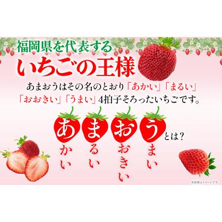 ふるさと納税 ごほうびいちご （約250g×4パック ） ＜2024年1月以降順次発送予定＞ いちご 苺 高品質 完熟 フルーツ 果物 お取り寄せ ご当.. 福岡県田川市