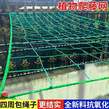 🔥臺灣出貨🔥爬藤網百香果種植絲瓜月季吊瓜葡萄花卉苦瓜黃瓜菊花攀爬搭架