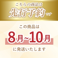 山梨県産　シャインマスカット 1.1kg (２房～3房)