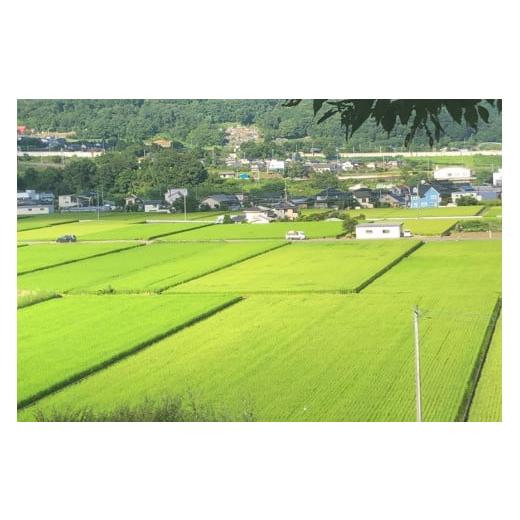 ふるさと納税 山梨県 韮崎市 出生体重米 おいしい お米 コシヒカリ 精米 ギフト プレゼント 贈り物 お祝い   IMAFUKU RICE FARM   山梨県 韮崎市 [20740827]