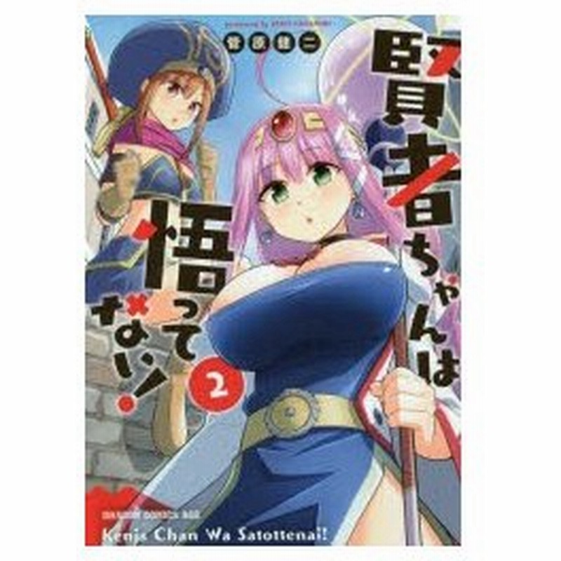 賢者ちゃんは悟ってない 2 菅原健二 著 通販 Lineポイント最大0 5 Get Lineショッピング