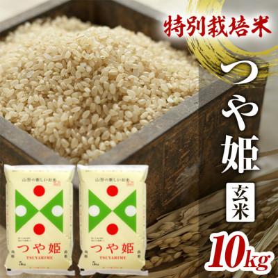 ふるさと納税 酒田市 特別栽培米 つや姫 玄米 5kg×2袋 計10kg