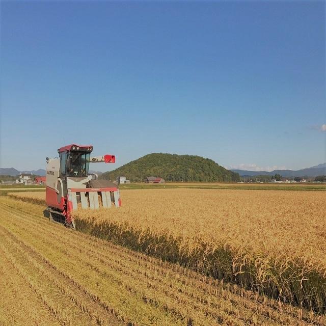 新米北海道産　玄米ゆめぴりか10kg　令和5年産　1等米　送料無料