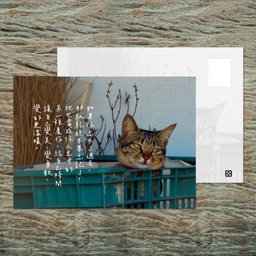 No.B16 明信片 / 如果你忘不了過去 / 任選買10送1