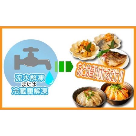 ふるさと納税  サーモン 国産 海鮮 丼 漬け 漬け丼セット ６パック お茶漬け 讃岐さーもん 冷凍 国産 サーモン 味付き サーモン .. 香川県さぬき市