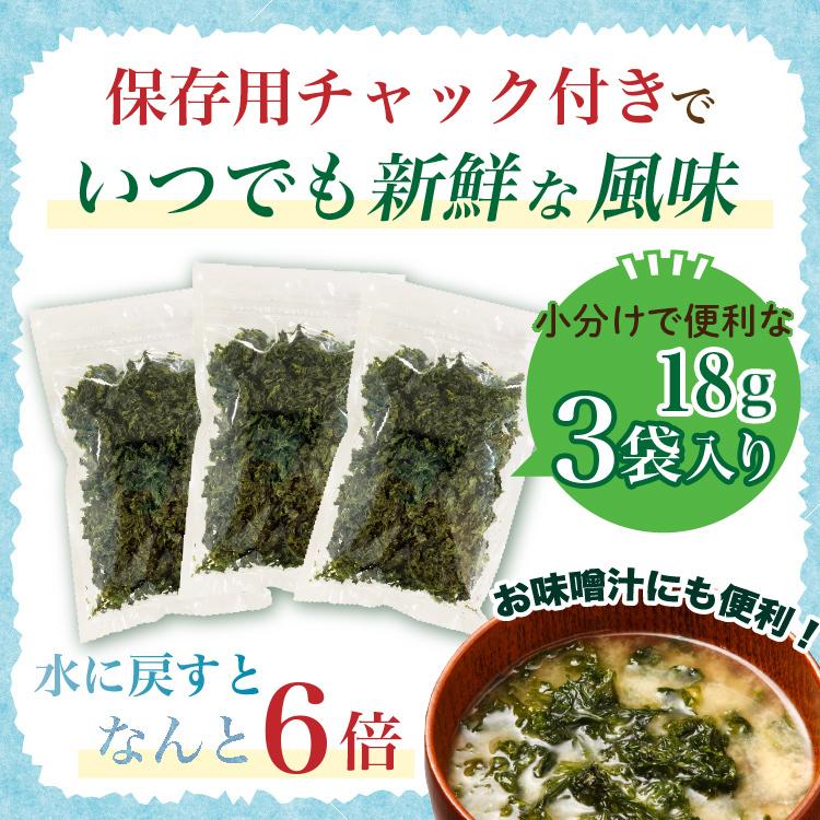 あおさ 海苔 18g×3袋 54g 鹿児島県産 送料無料 食品 1000円 国産 メール便 乾燥 常温 無添加 アオサ のり おいしさ 訳あり [メール便]