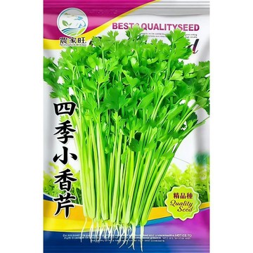 台灣現貨 四季小香芹 種子 盆栽 陽台 廚房香料 家庭種菜 耐熱好種 可食用 現採 新鮮 居家園藝 葉用芹 香菜 /原裝