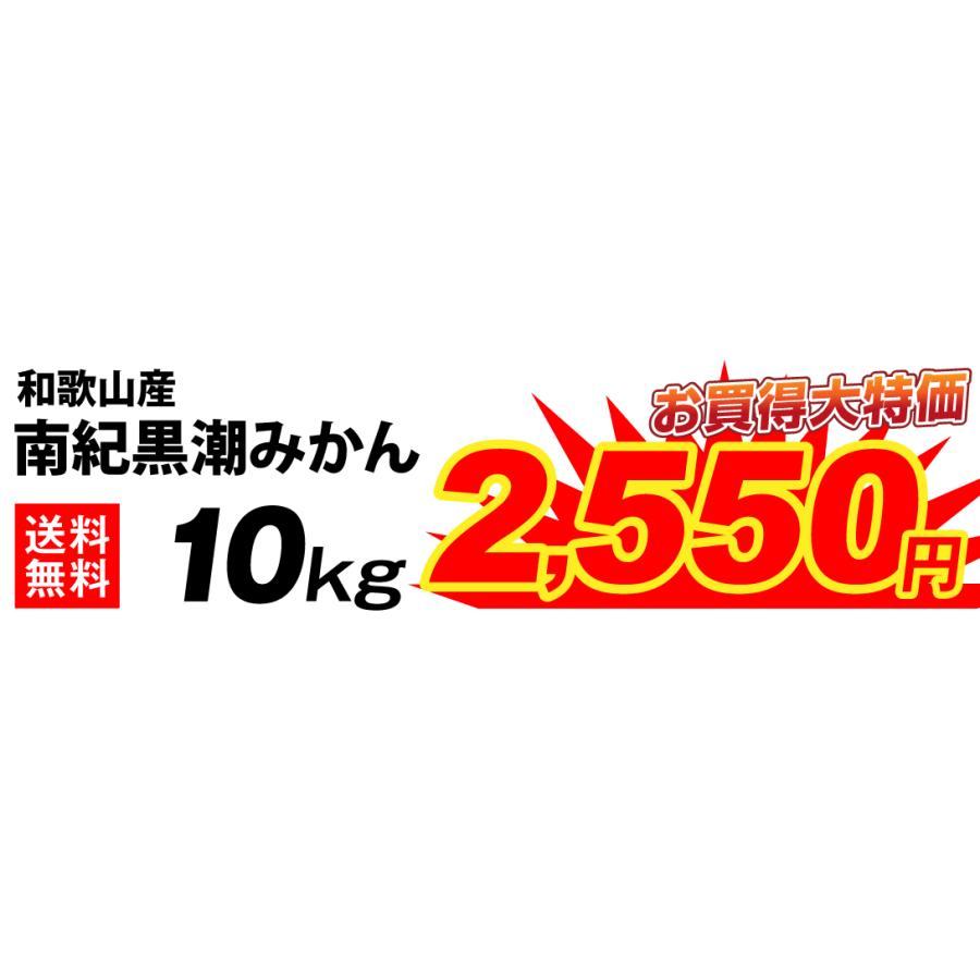 みかん 10kg 温州みかん 和歌山産 南紀黒潮みかん 蜜柑 紀南 ご家庭用 送料無料 食品