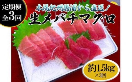 生まぐろの本場紀州勝浦から直送！　生メバチマグロ 約1.5kg（1カ月に1回お届け）（全3ヵ月）