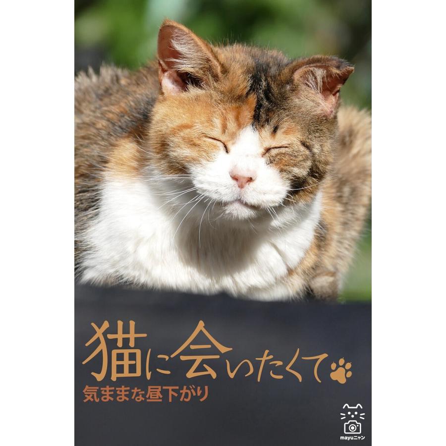 猫に会いたくて 気ままな昼下がり 電子書籍版   撮影:mayuニャン