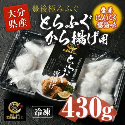 ふるさと納税 佐伯市 とらふぐ 唐揚げ 生姜にんにく醤油味 (約430g)