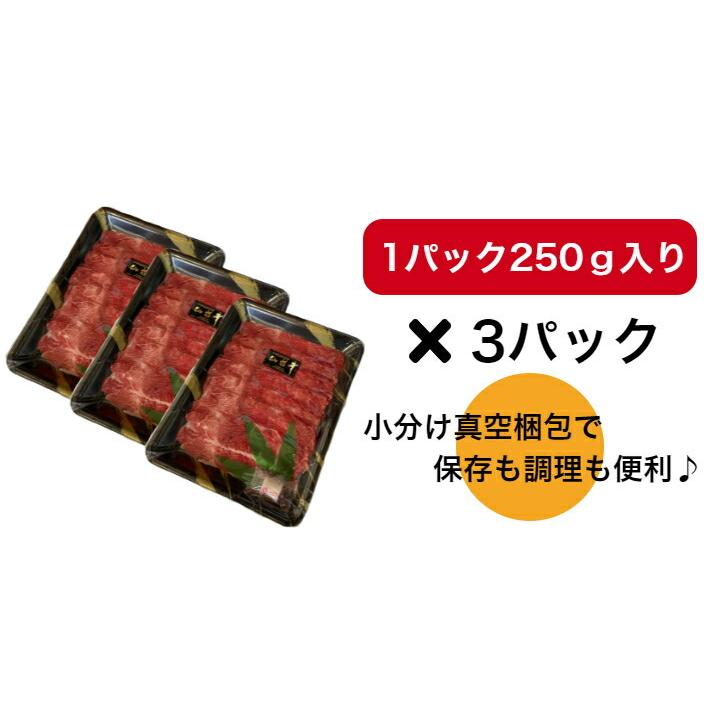 仙台牛 切り落とし 750ｇ 4〜5人前 すき焼き 肉じゃが 牛丼 送料無料 A5 国産 和牛 お取り寄せ ギフト 贈り物 お中元 お歳暮 お祝い 御礼