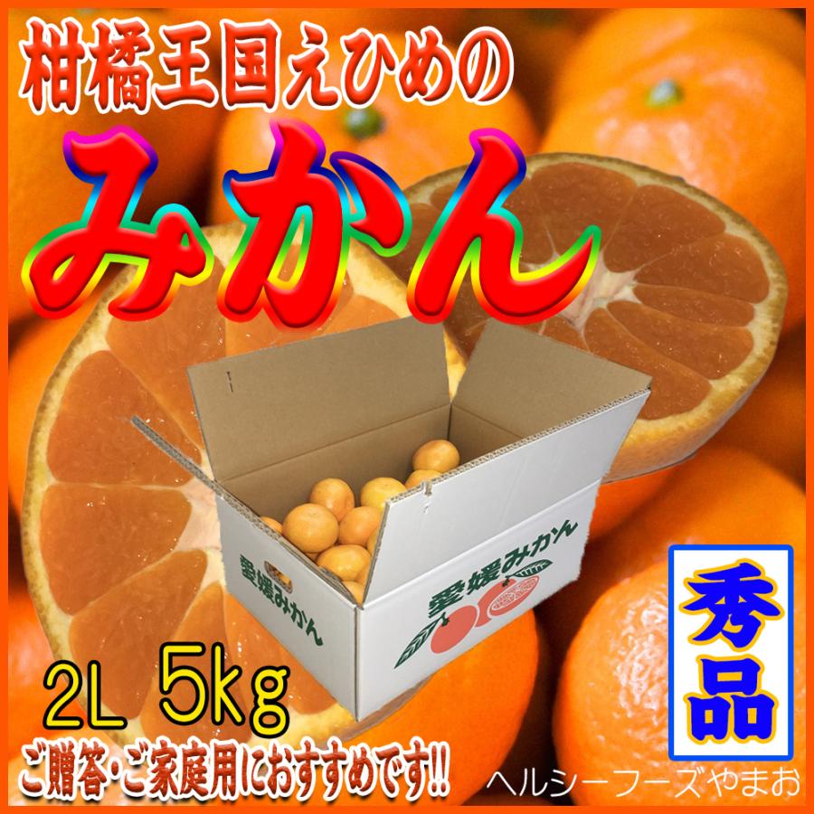 2023　お歳暮ギフト　みかん（愛媛産・瀬戸内・２Lサイズ）５ｋｇ入（ご贈答用・ご家庭用に最適です）