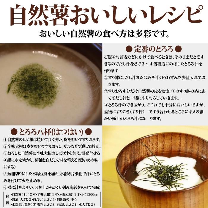 自然薯 2kg 山形県 大石田 送料無料 甘みとコク 入手困難