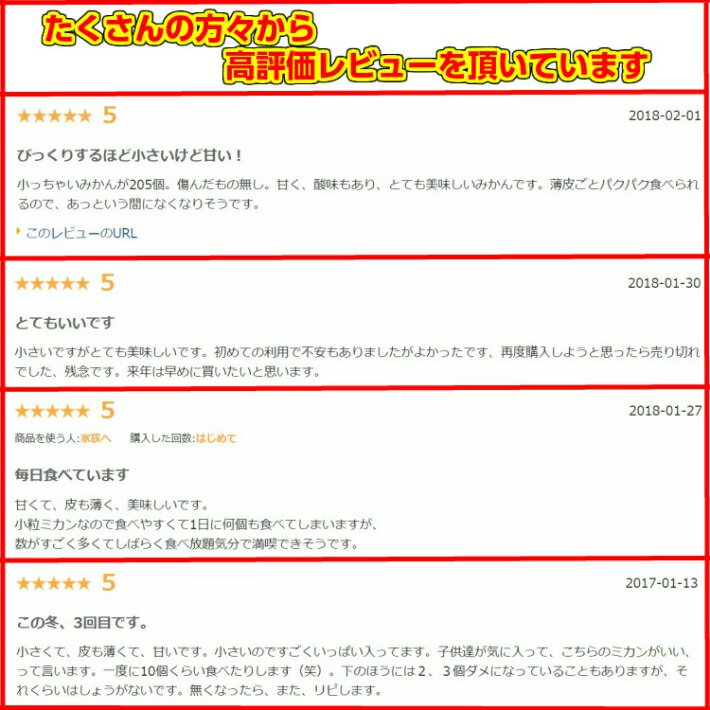 みかん 5kg 送料無料 訳あり s 小粒くん 有田みかん 果物 おいしい 小玉 和歌山直送 産地直送 こつぶ 和歌山 わけあり ミカン 甘い 糖度 お買い得 ご自宅用