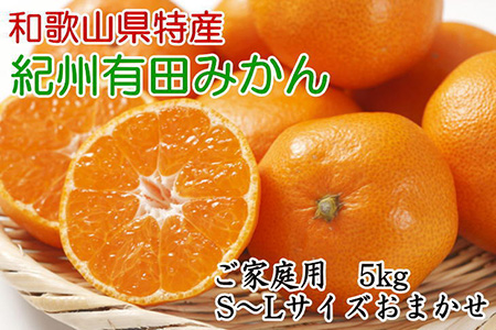 和歌山有田みかんご家庭用5kg (S～Lサイズおまかせ) ※2023年11月中旬～2024年1月中旬頃に順次発送予定 ふるさと納税 ミカン