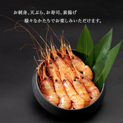 ふるさと納税 白老町 甘みたっぷり冷凍ボタンエビ(300g)