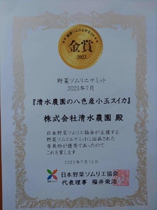 2024年7月中旬発送予定　野菜ソムリエサミット金賞受賞　はずれの無い甘さ「清水農園のこだわり小玉スイカ」（2玉）