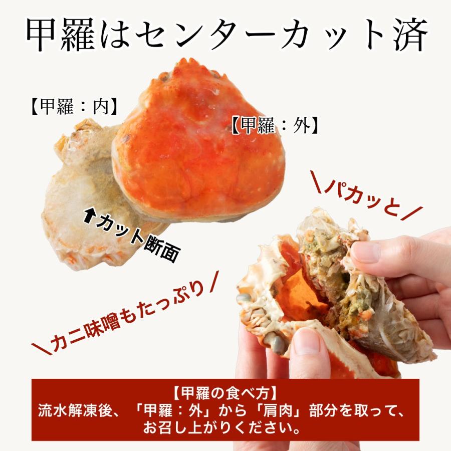 カナダ産 ボイル ズワイガニ 姿 1尾(500g) 解凍後450g前後 切れ目あり 冷凍  カナダ カット済 歳暮 プレゼント グルメ 海鮮