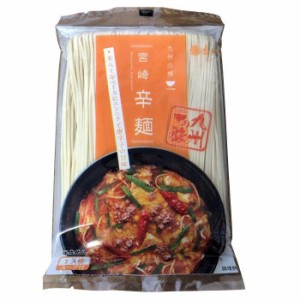 まるいち 宮崎辛麺 ラーメン スープ付 1人前×40入 Z4251 |b03