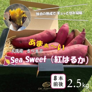 大洗産 さつまいも 紅はるか 2.5kg （8本前後） 「Sea Sweet」 長期熟成 茨城県産 サツマイモ 土付き 生芋 芋 さつま芋 薩摩芋 甘藷 べにはるか_CF002