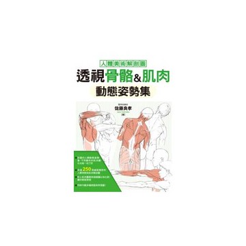 透視骨骼&肌肉 動態姿勢集