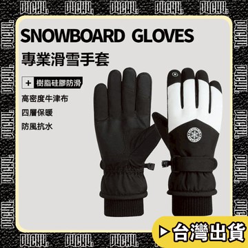 🔥台灣出貨🔥【P4CH4】滑雪手套男 冬天騎行防滑防寒手套 加絨加厚 保暖電動車 觸屏手套 棉手套女 冬季