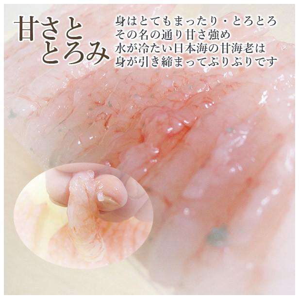 お歳暮 2023 ギフト 海鮮 寿司 お取り寄せグルメ 冷蔵 極上 甘エビ寿司を福井から届いたその日が旬の味わい